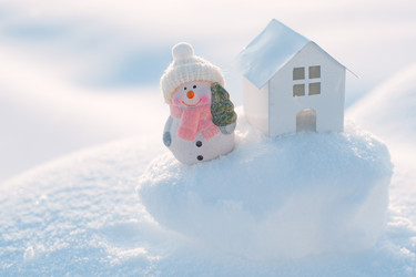 Similar image 21635442