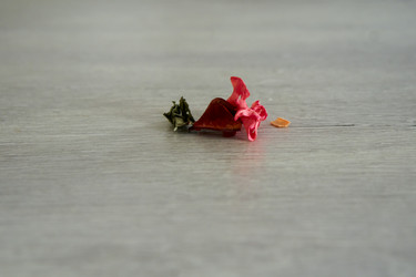 Similar image 21648859