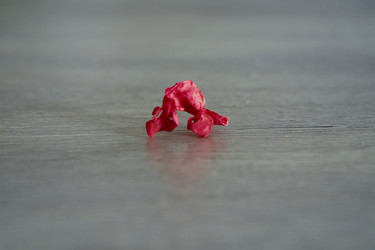 Similar image 21648860