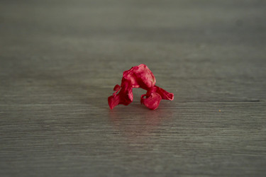 Similar image 21655296