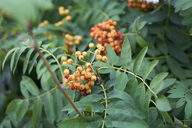 Similar image 21654956