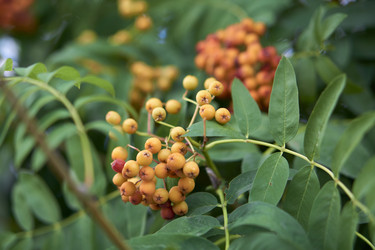 Similar image 21654957