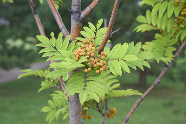 Similar image 21655116