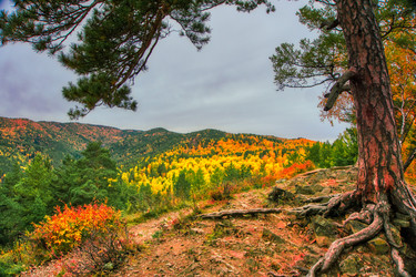 Similar image 21655117