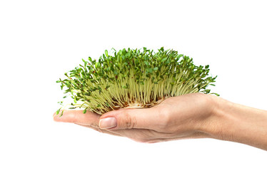 Similar image 21639586