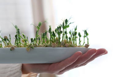 Similar image 21639598