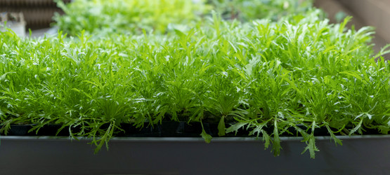 Similar image 21639599