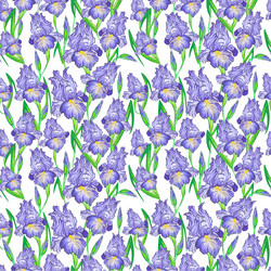 Similar image 21644838