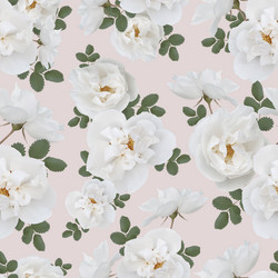 Similar image 21644840