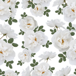 Similar image 21644843