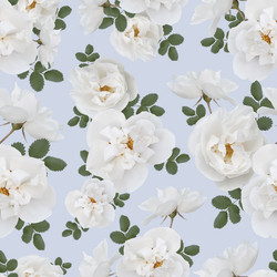 Similar image 21644844