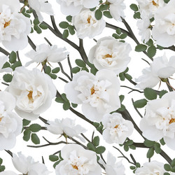 Similar image 21644845