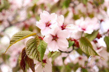 Similar image 21637611