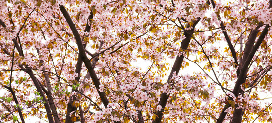 Similar image 21637612