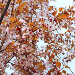 Similar image 21637613