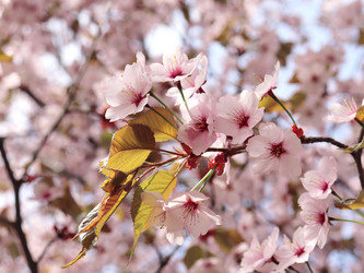 Similar image 21637614