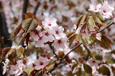 Similar image 21637616