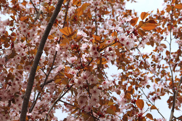 Similar image 21637617