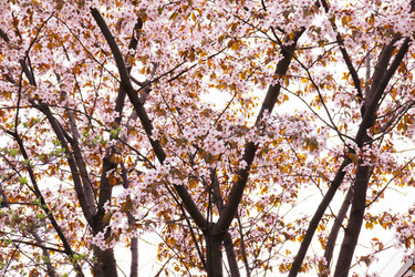 Similar image 21637618