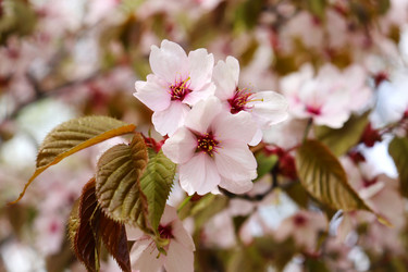 Similar image 21637620