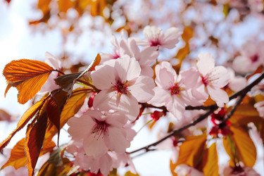 Similar image 21637622