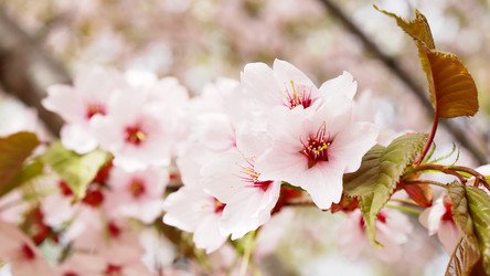 Similar image 21637624