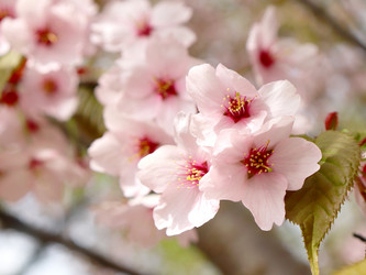 Similar image 21637625