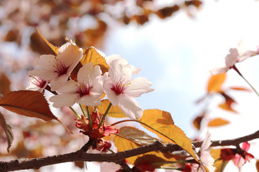 Similar image 21637626