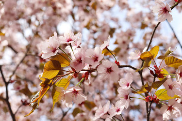 Similar image 21637627