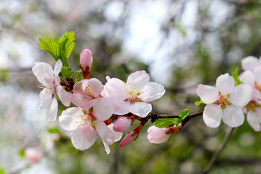 Similar image 21637628