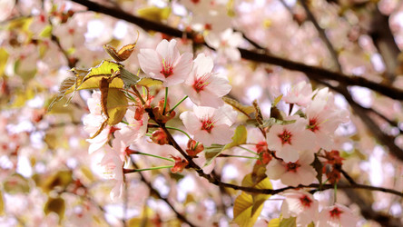 Similar image 21637630