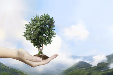 Similar image 21644978