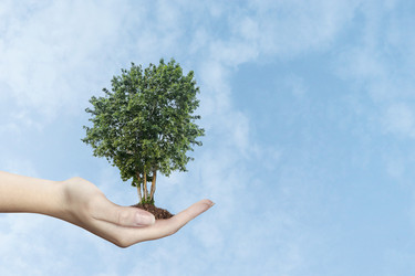 Similar image 21644979