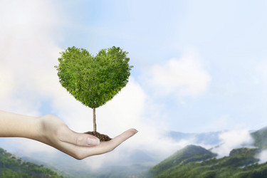 Similar image 21644879