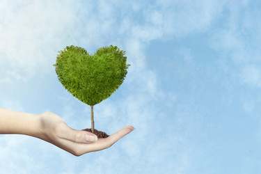 Similar image 21644880