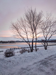 Similar image 21655298