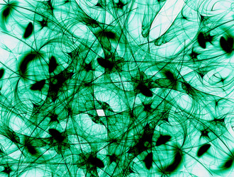 Similar image 21642771