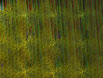 Similar image 21643011