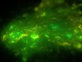 Similar image 21643204