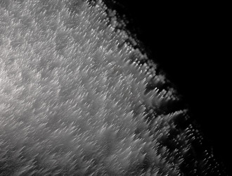 Similar image 21643989