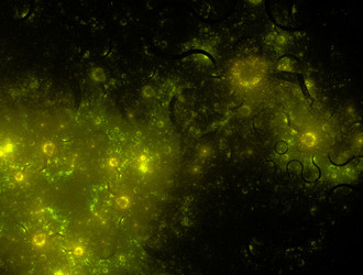 Similar image 21638473