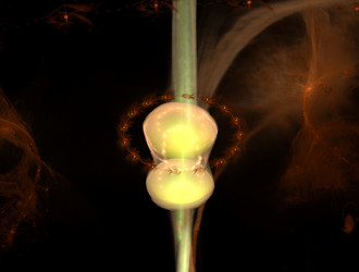 Similar image 21641769