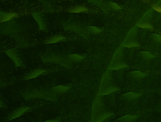 Similar image 21642095