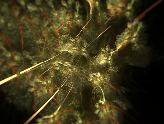 Similar image 21643993