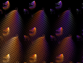 Similar image 21643251