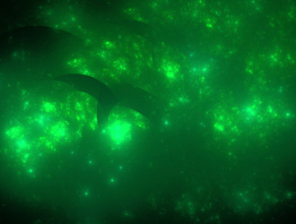 Similar image 21637807