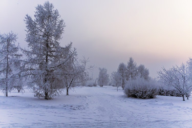 Similar image 21648868