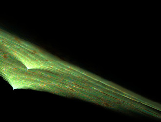 Similar image 21643615