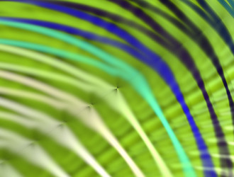 Similar image 21641825