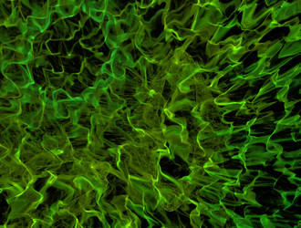 Similar image 21642880